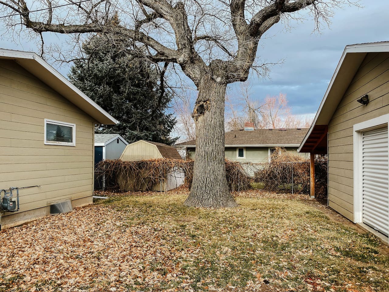 Family Matters — photo 34