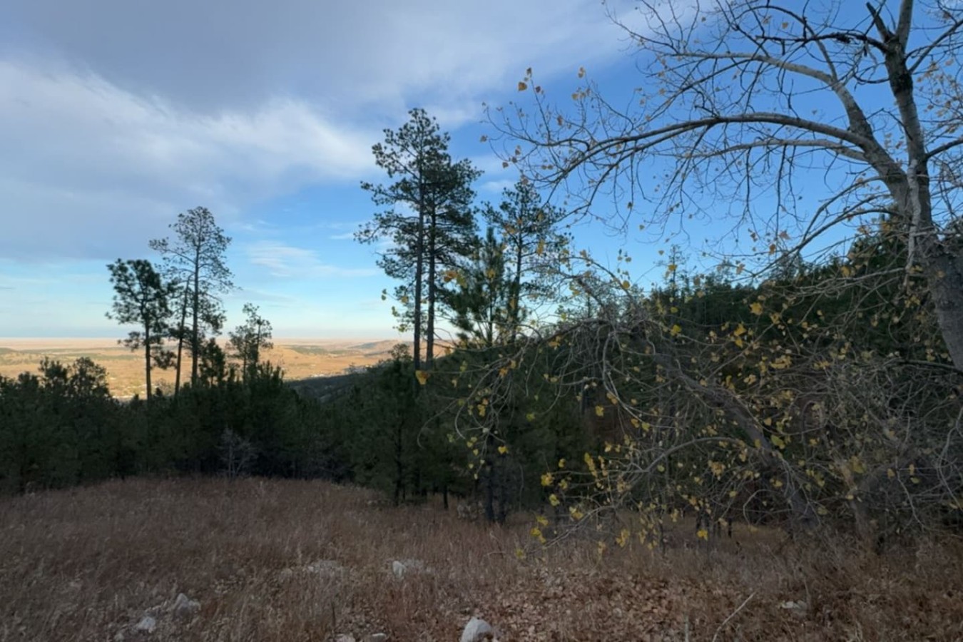 Piedmont Place — photo 38
