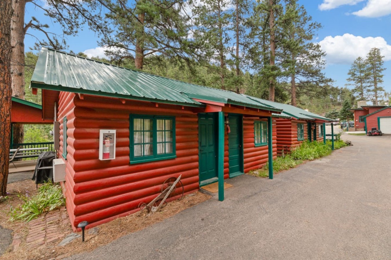 bear-ponderosa-64