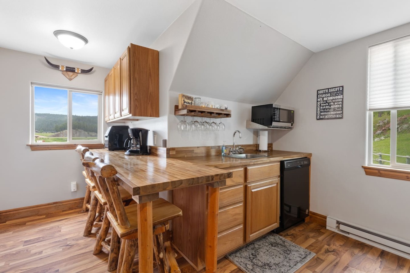 Dakota Cabin:1 mi. Sheridan Lake — photo 4