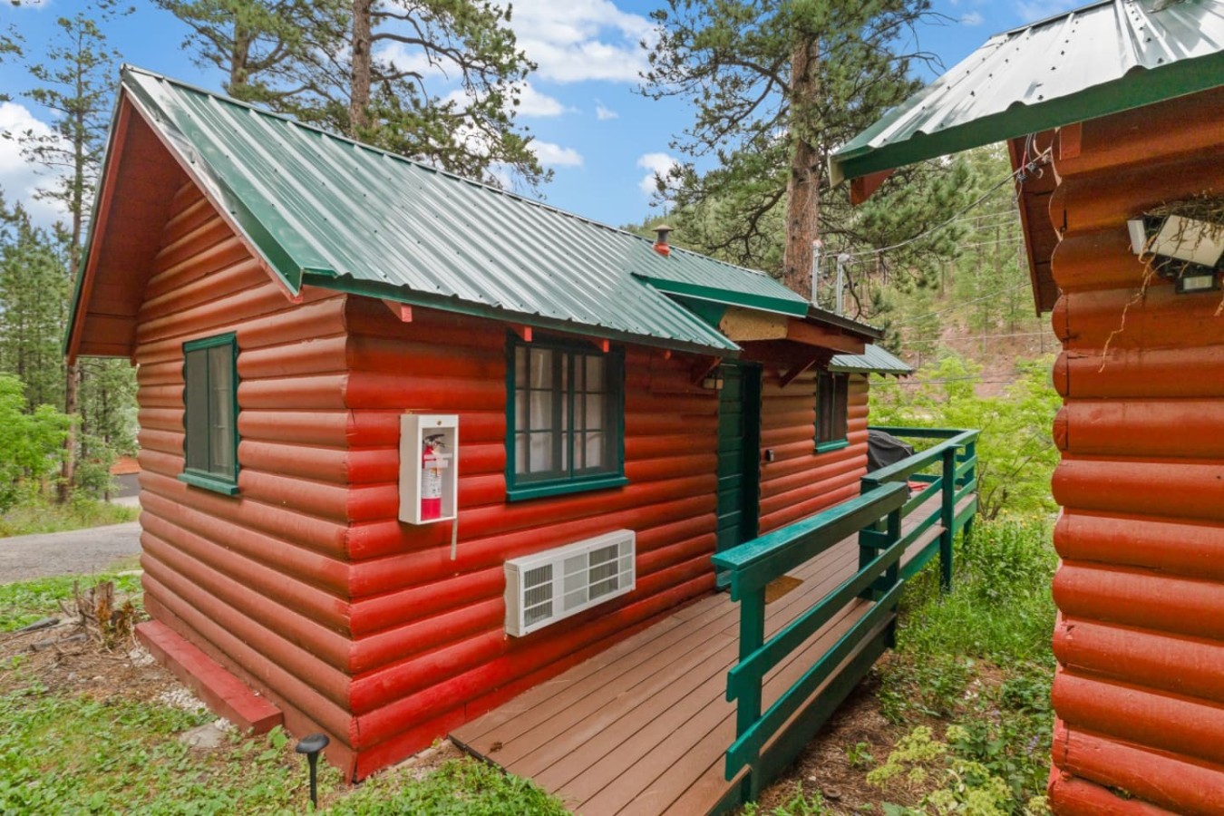 bear-ponderosa-54