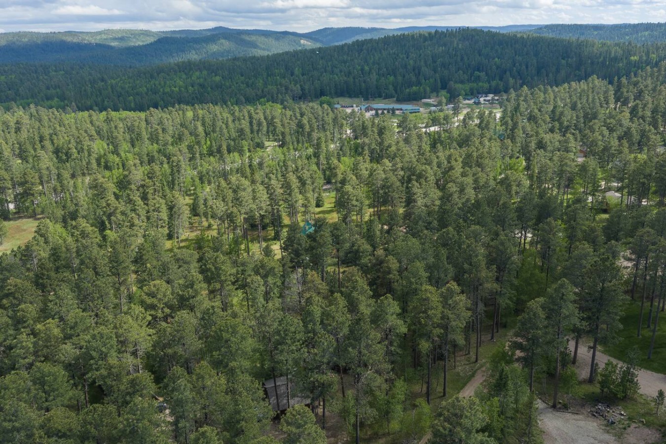 Still Pines Cabin — photo 37