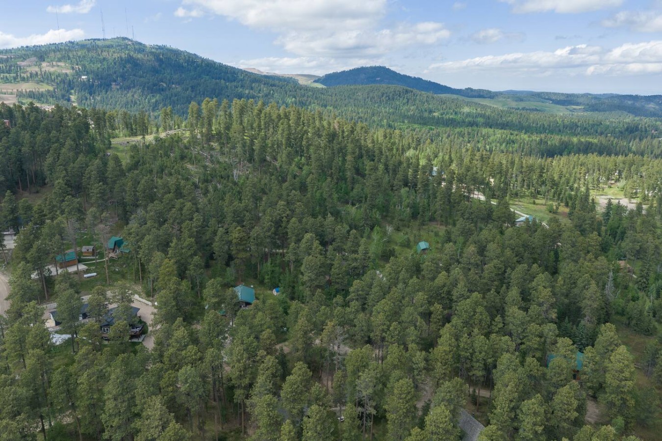 Still Pines Cabin — photo 34