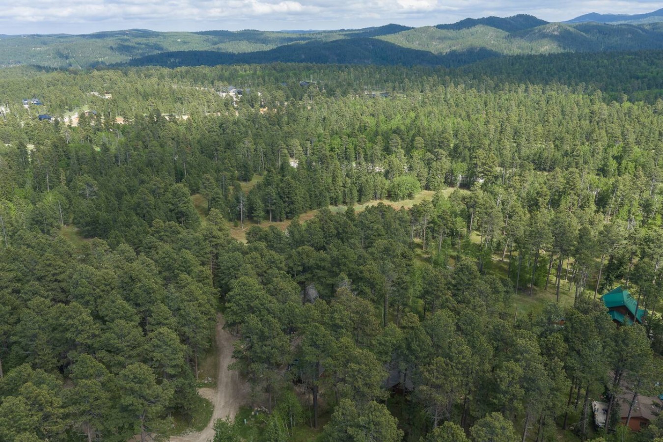 Still Pines Cabin — photo 38