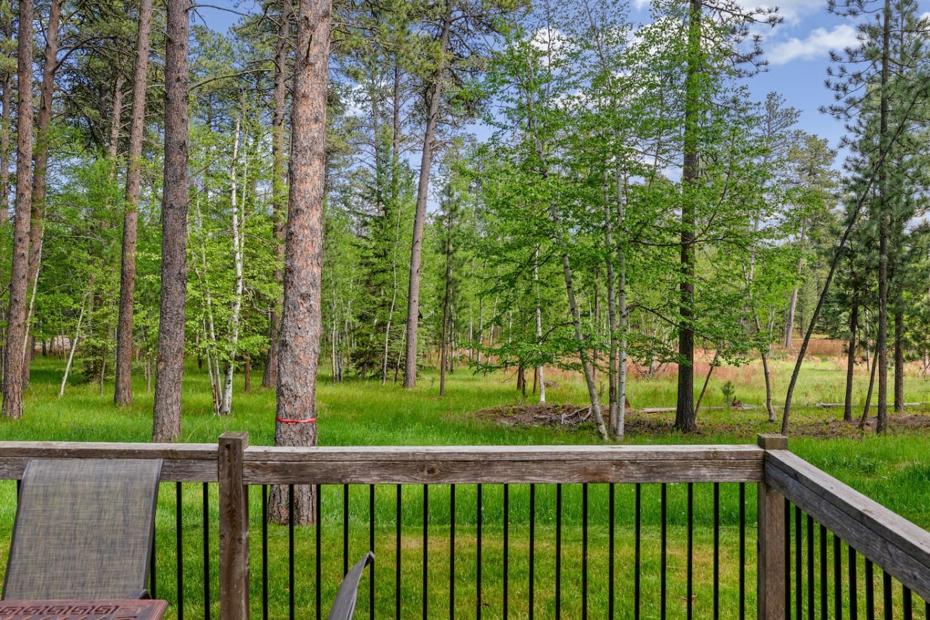 Still Pines Cabin — photo 31