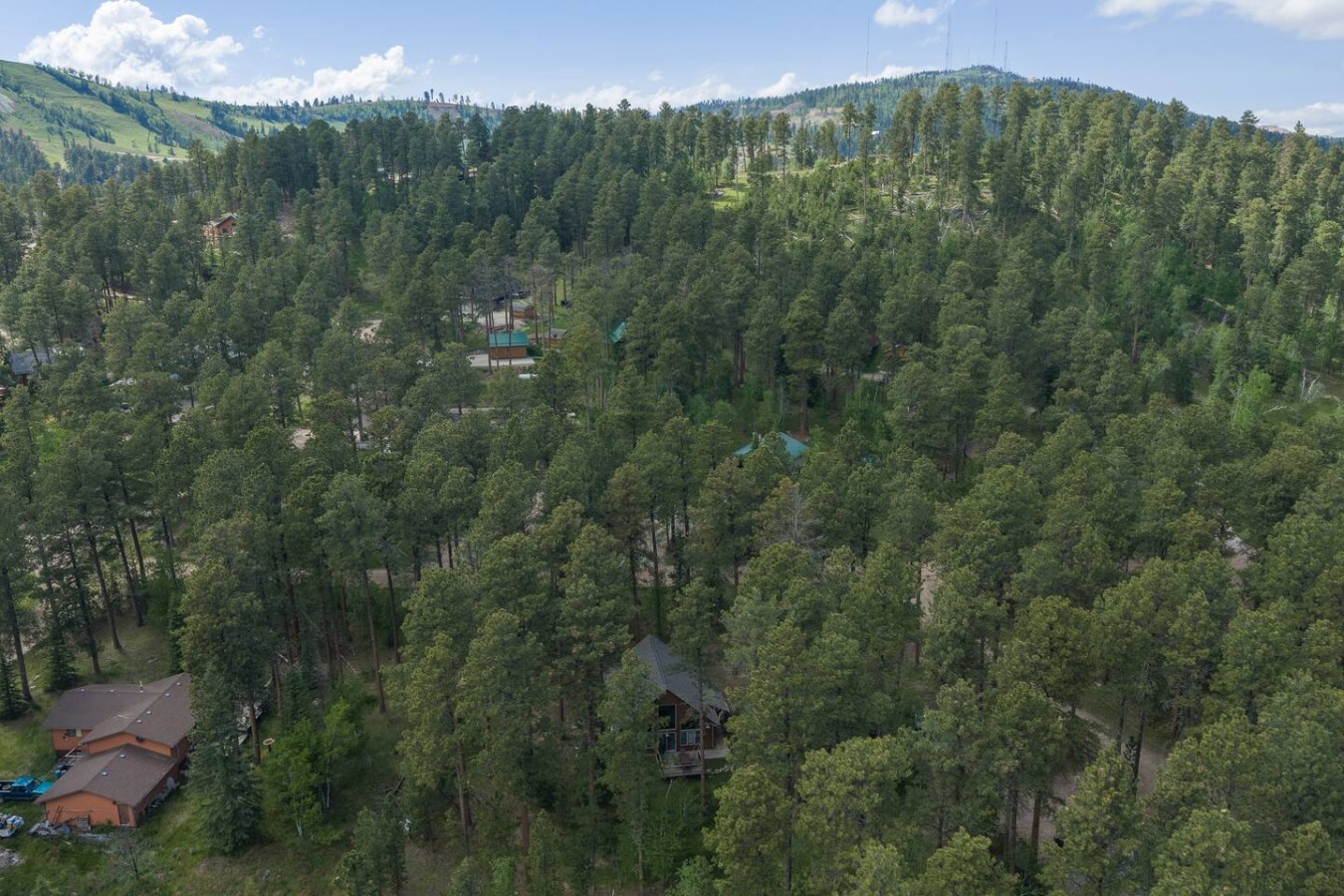 Still Pines Cabin — photo 35