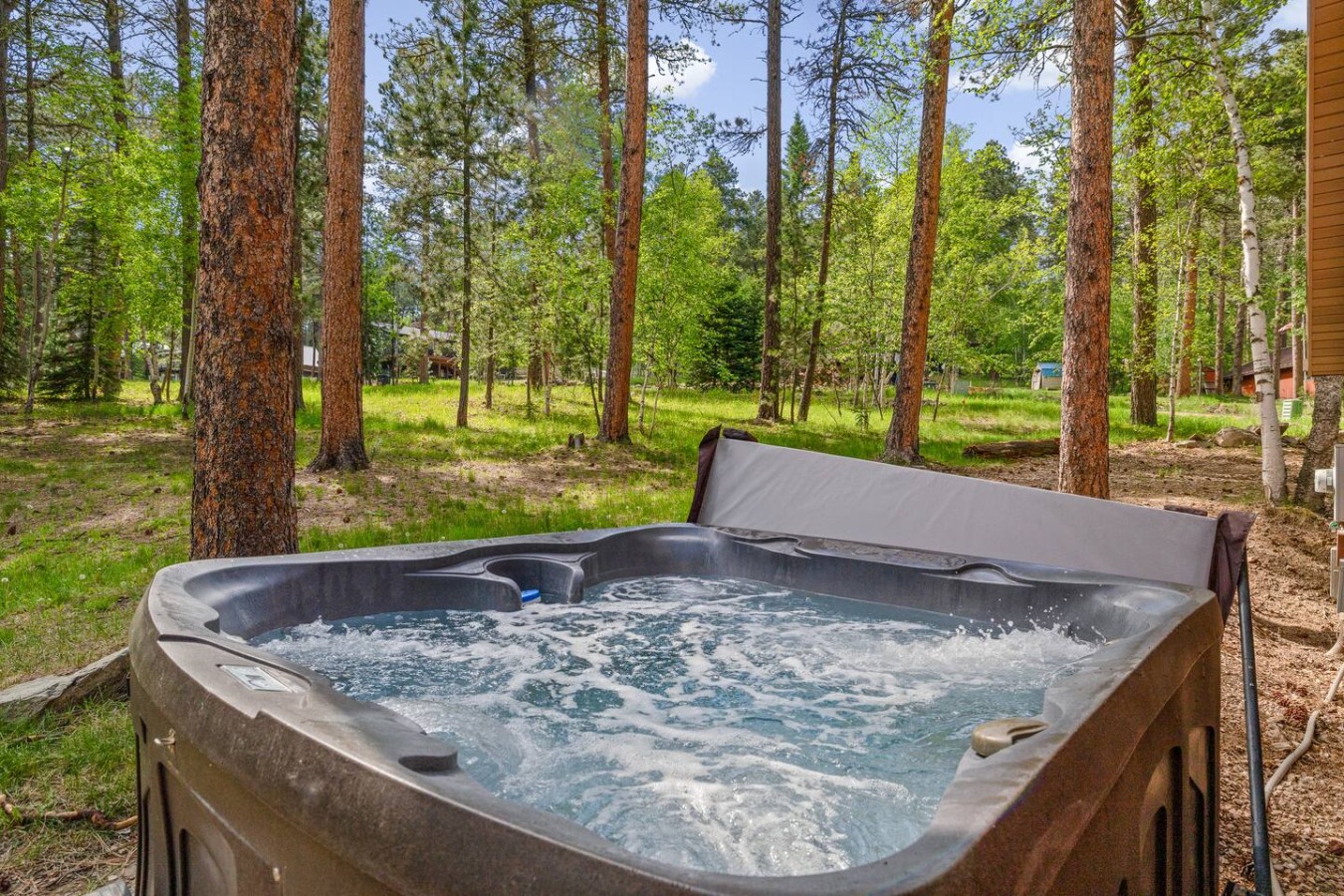 Still Pines Cabin — photo 29