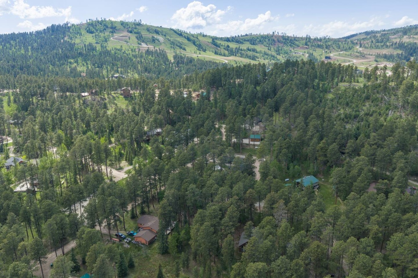 Still Pines Cabin — photo 36