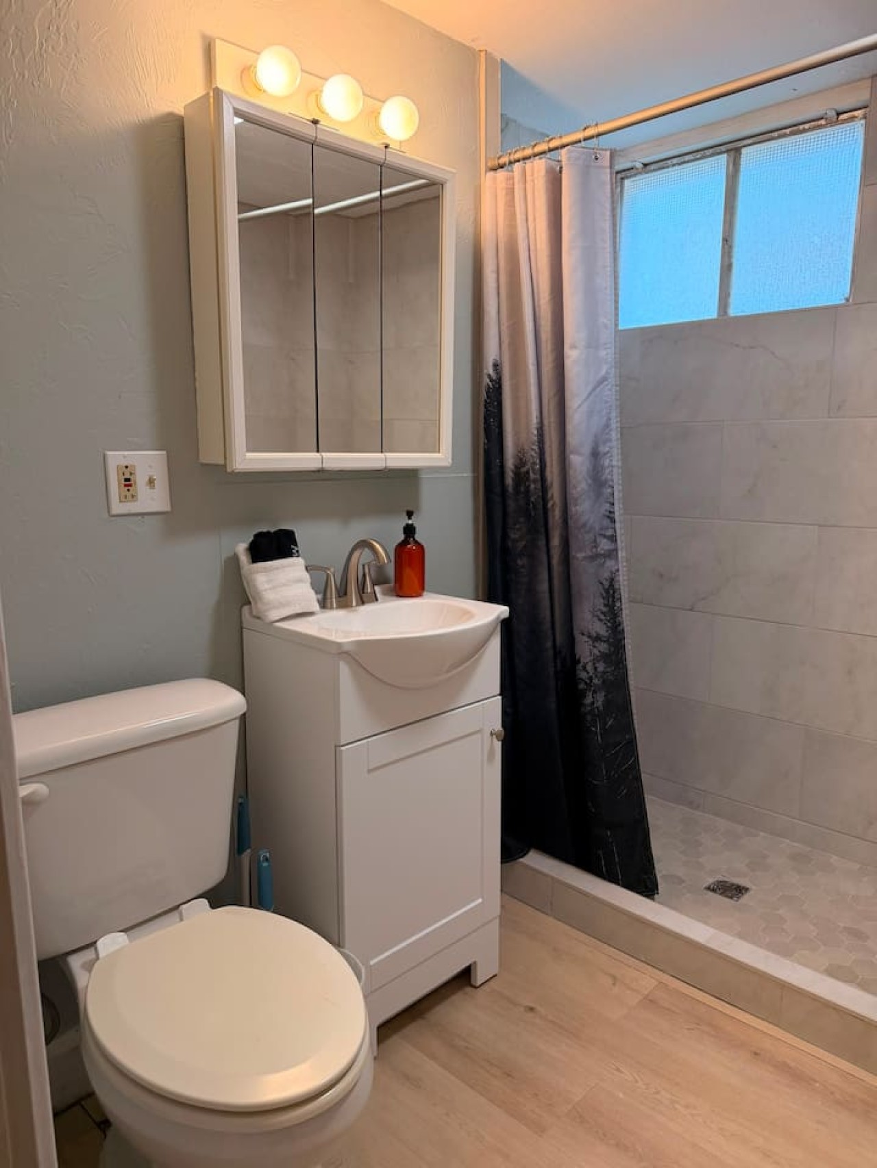 2 bedroom, walk in shower, minisplit AC/heat — photo 8
