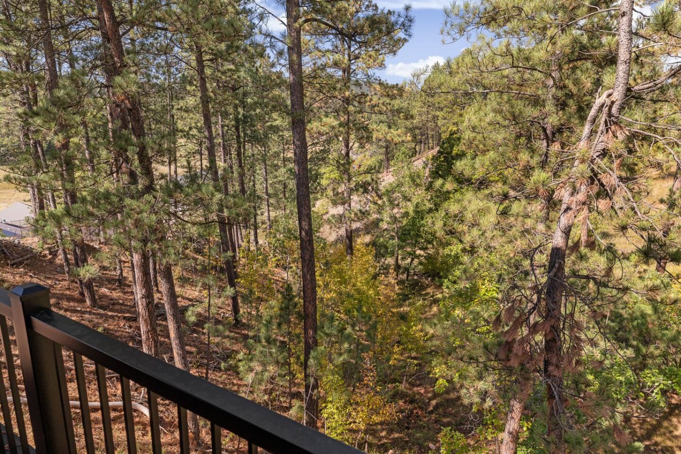 4 King bedrooms, 3.5 bath, Hot Tub, Cliff Views — photo 56