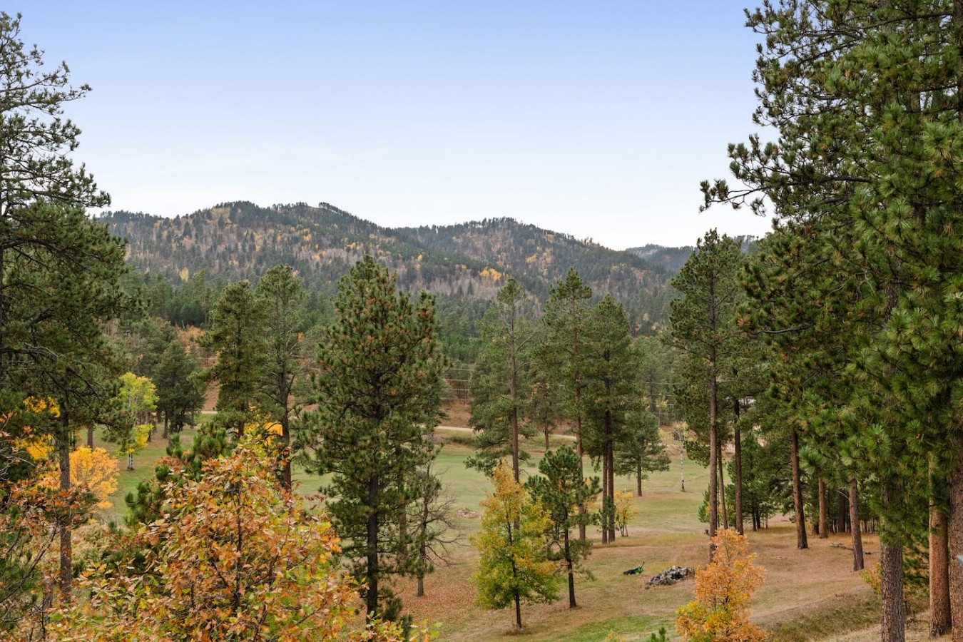 Private: 10 Beds, Hot Tub & Forest Views Near Lead — photo 58