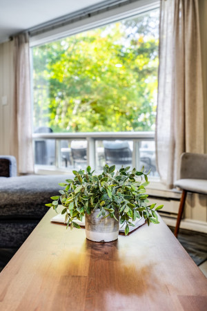 Large Muskoka Cottage on Lakefront - Windermere