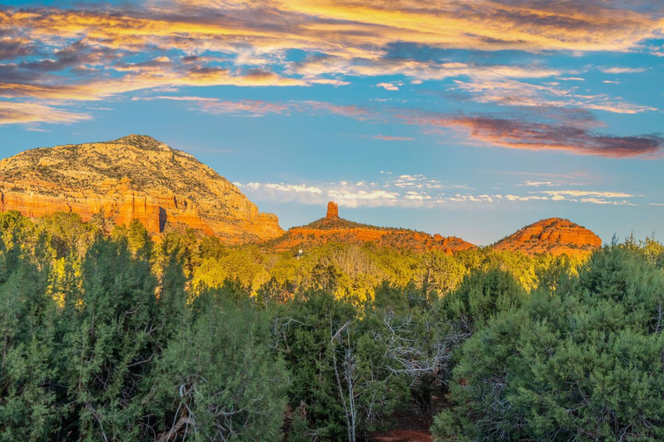 Dry Creek Escape | Hot Tub, Views, Fireplaces 5