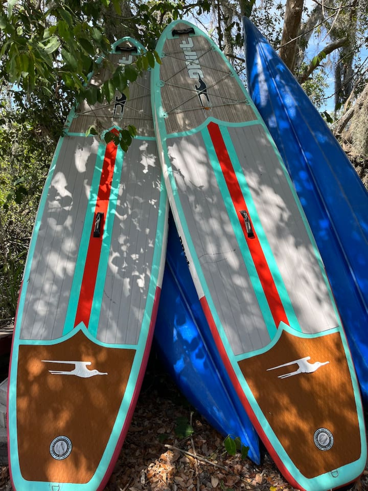 5 star rated guest house pool