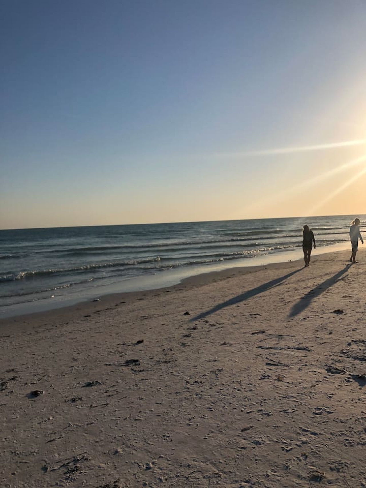 5 star rated guest house pool