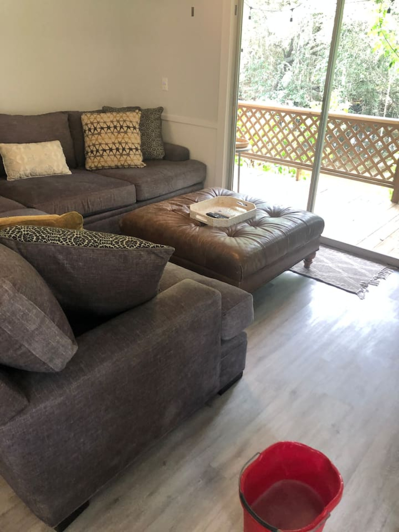 5 star rated guest house pool