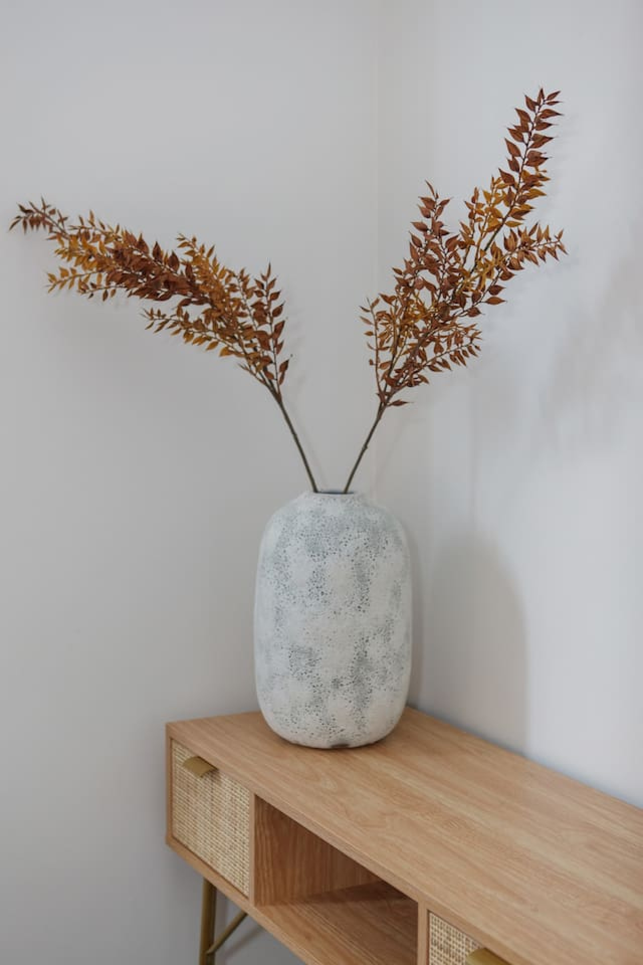 Charming 3-Bedroom Escape in Glen Iris