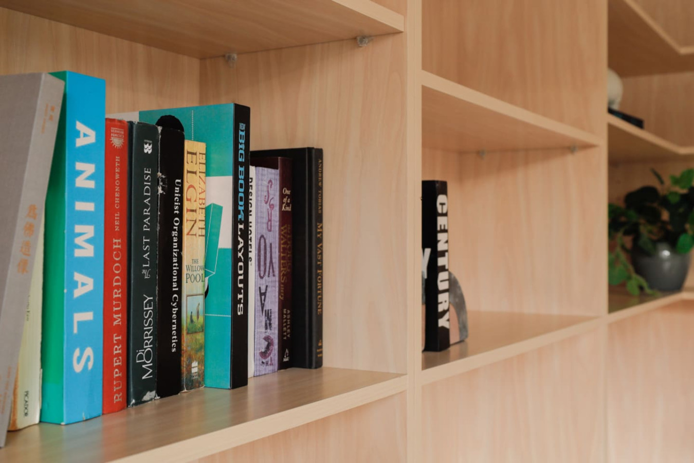 The Ivy (With Car Parking)