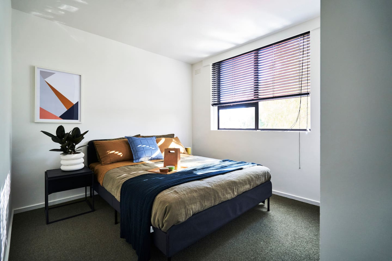 Budd Place 2D in the Heart of Collingwood