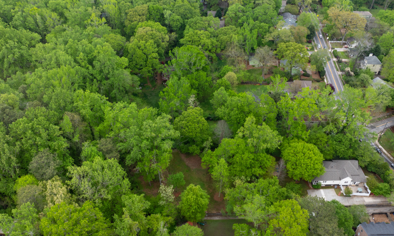 629 S Candler_low res_4_11_Cantrell-32.jpg