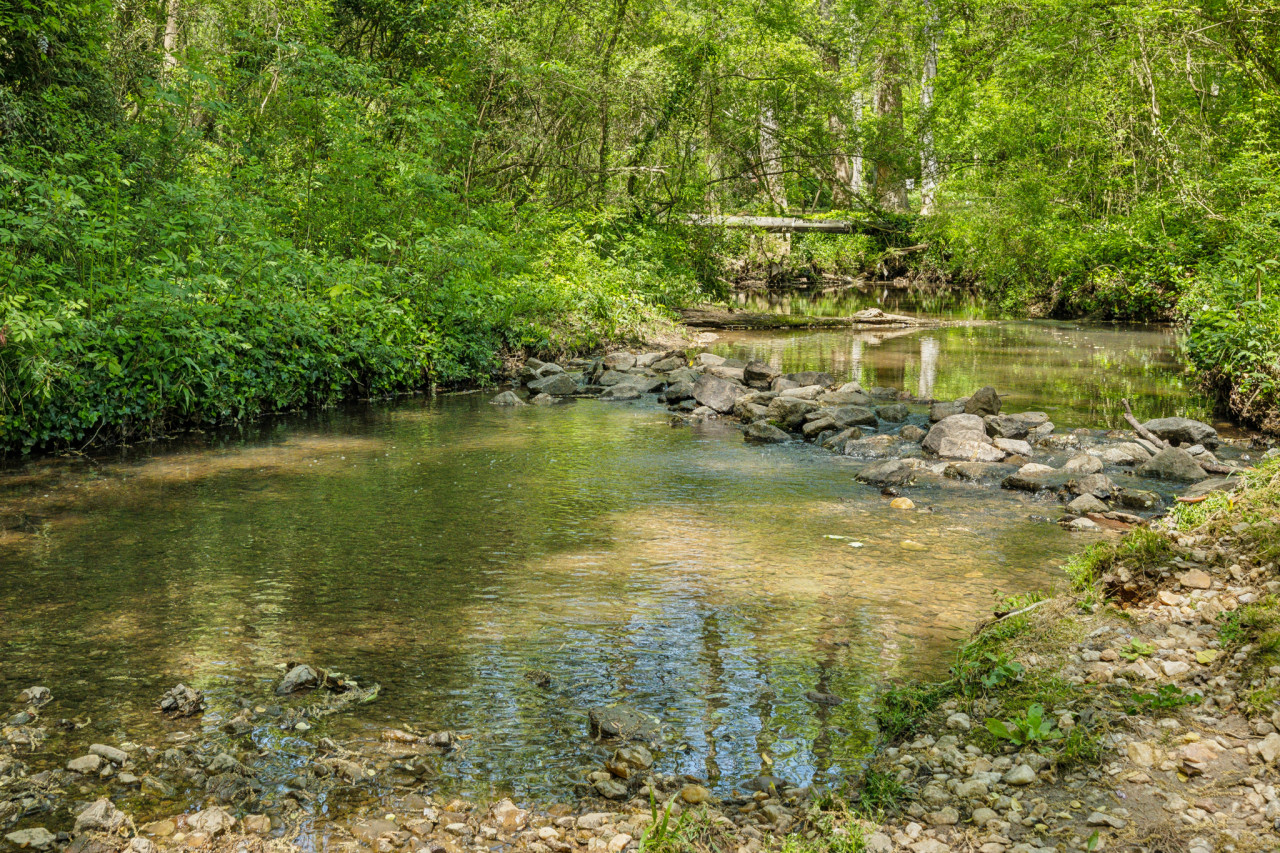 629 S Candler ext_low res_-23.jpg