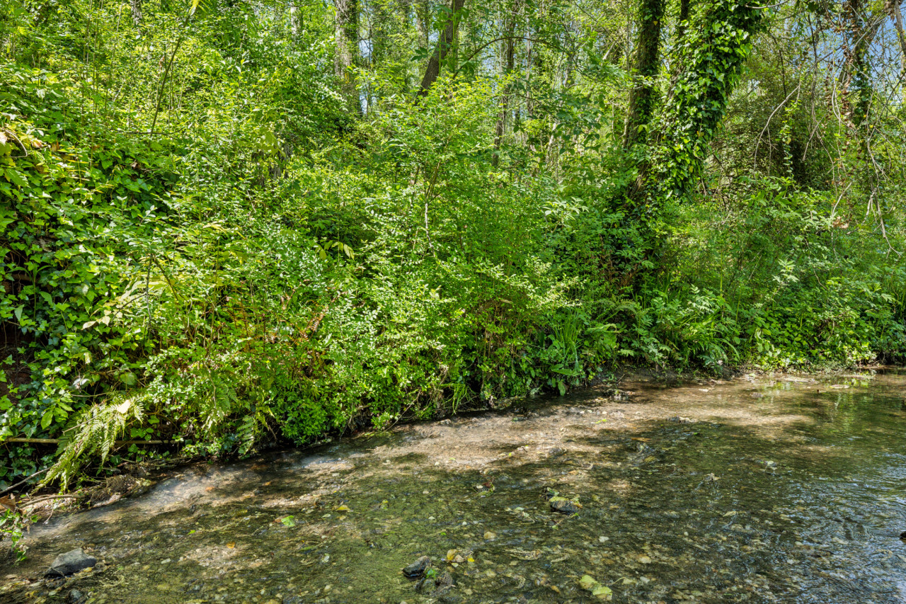 629 S Candler ext_low res_-24.jpg