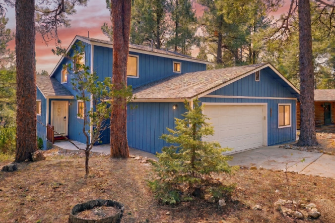 Quiet Hilltop Cabin ~Forest Views! Fire Table!