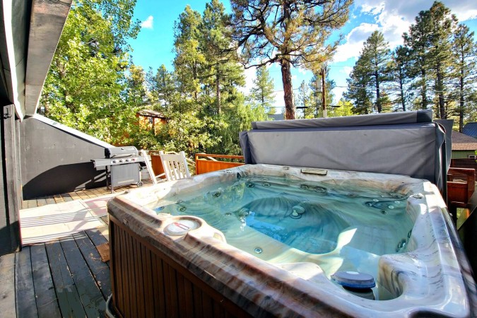 Creative’s Muse: Iconic Bruder Cabin ~Art Studio