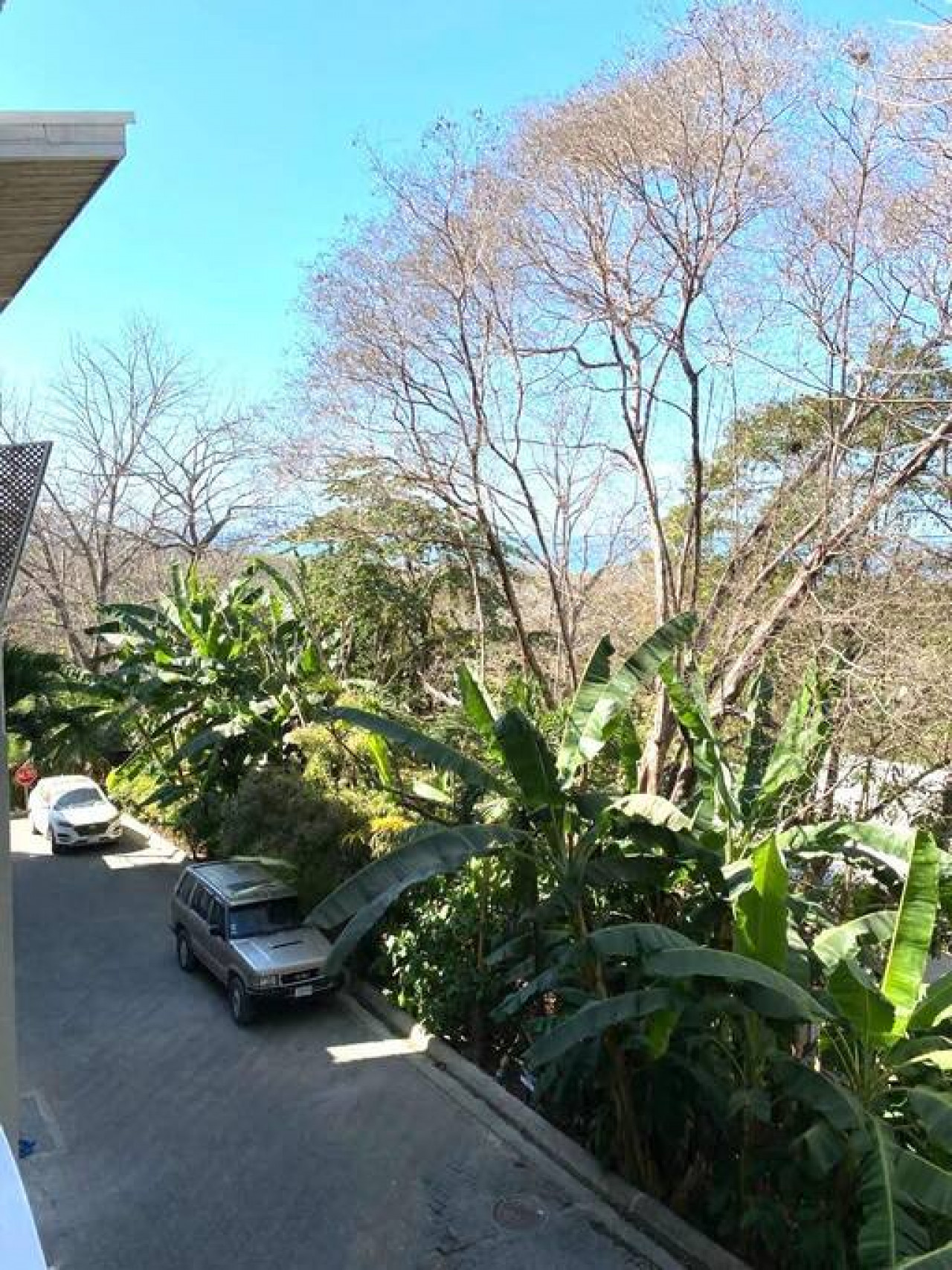 Casa Pelicano - property photo 7