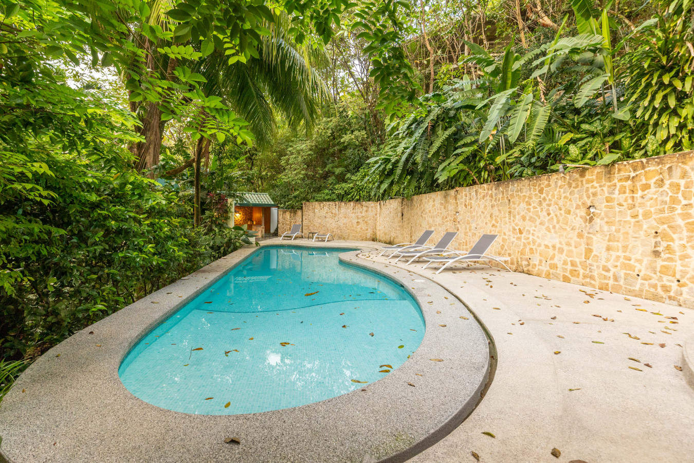Casa Lumina: Cozy 1BR - property photo 20