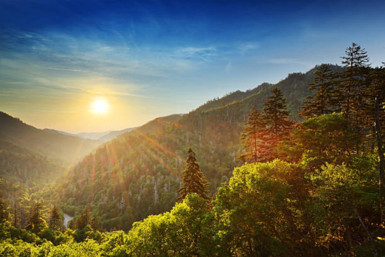 Smoky Mountains – Just 25 Minutes Away!
Explore breathtaking trails, scenic drives, and stunning mountain views right at your doorstep.