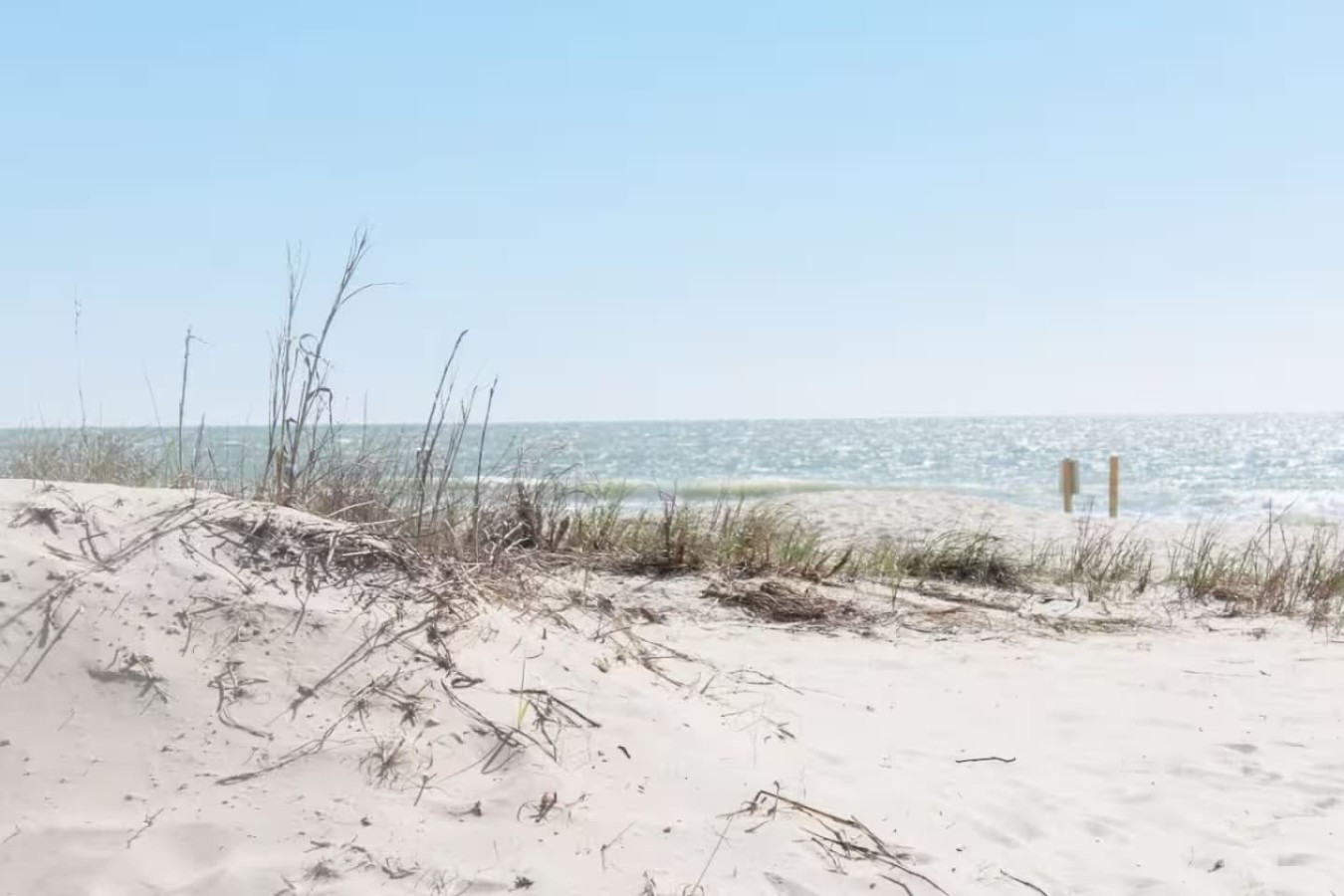 Pet friendly | 5 min walk to sand | full kitchen