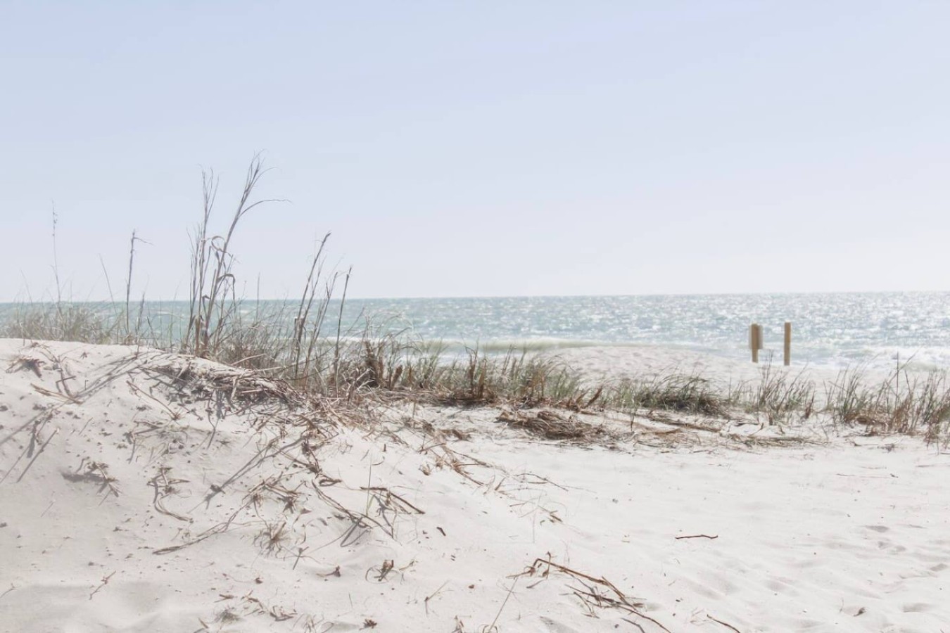 Central Condo l Close to Beach l Full Kitchen