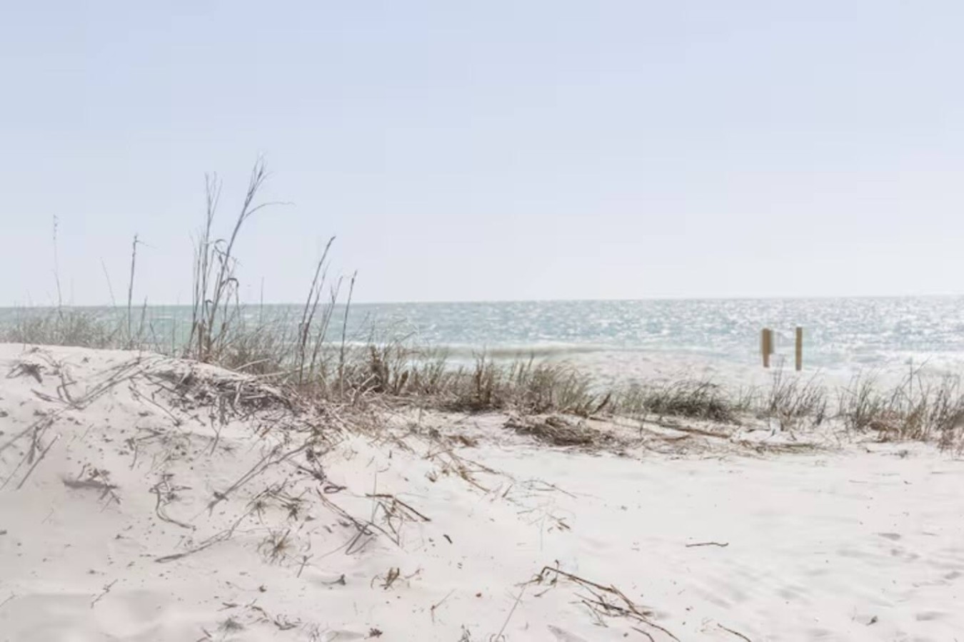 5 min walk to the ocean I Downtown | Ocean view