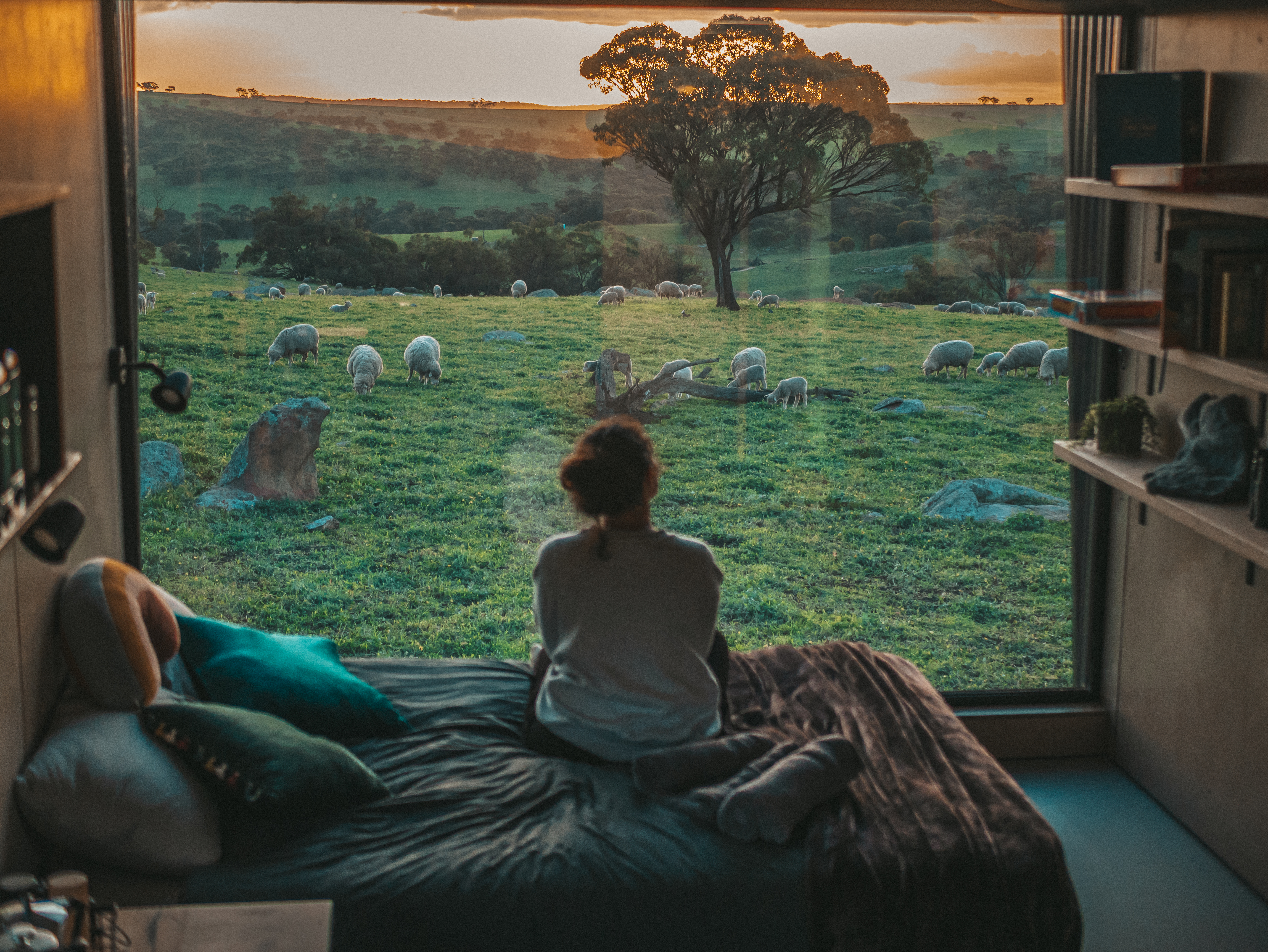 Ashleigh the Family Cabin in the Avon Valley