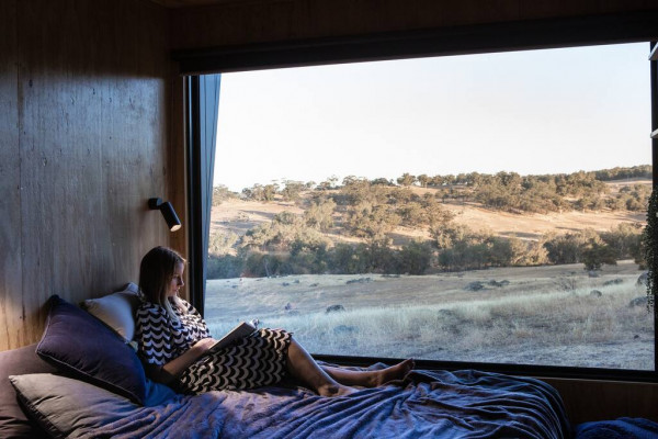 Jack the Dog Friendly Cabin in the Avon Valley