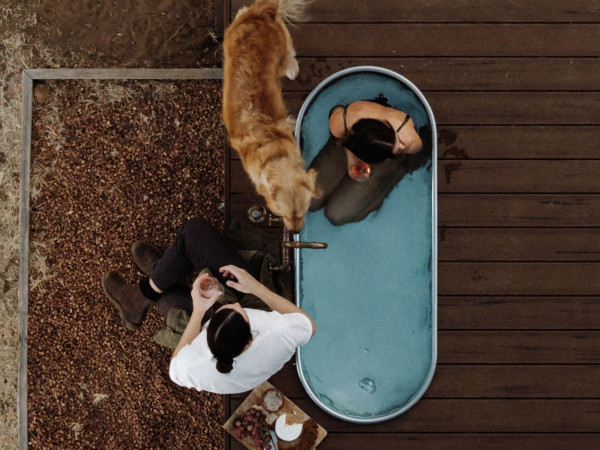 Jack the Dog Friendly Cabin in the Avon Valley