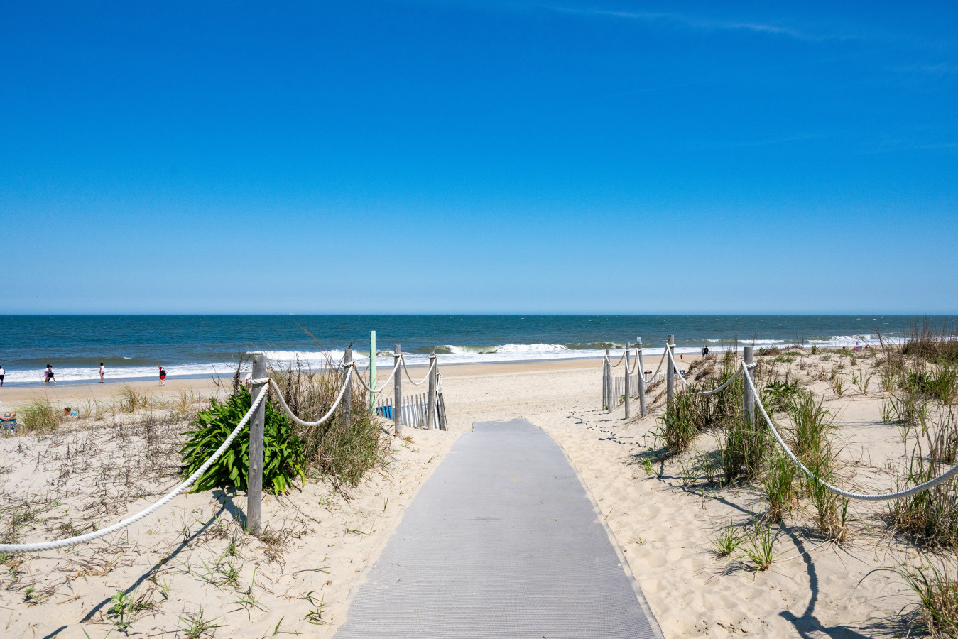 Surfrider Dewey Beach