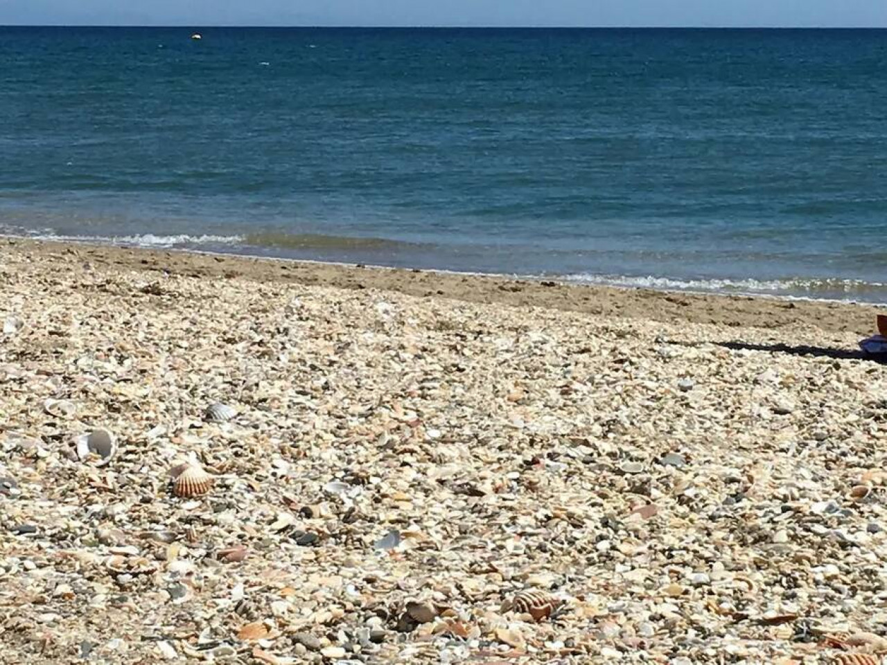 106 · Charmant appartement au centre, plage à 1min.