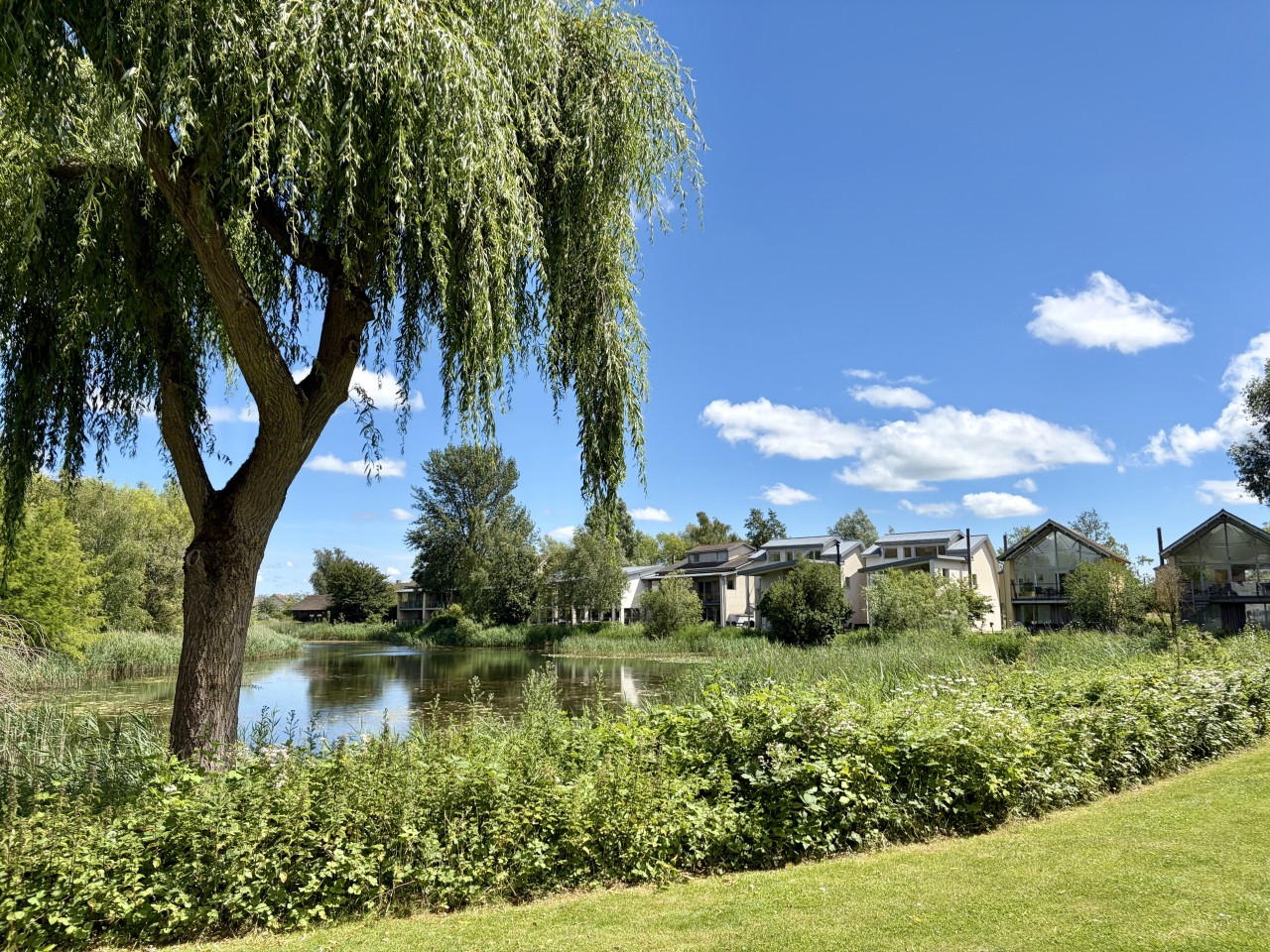 lodge image