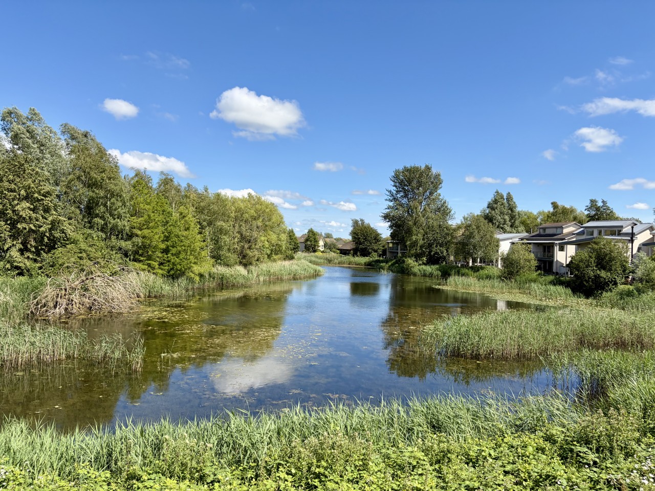 lodge image