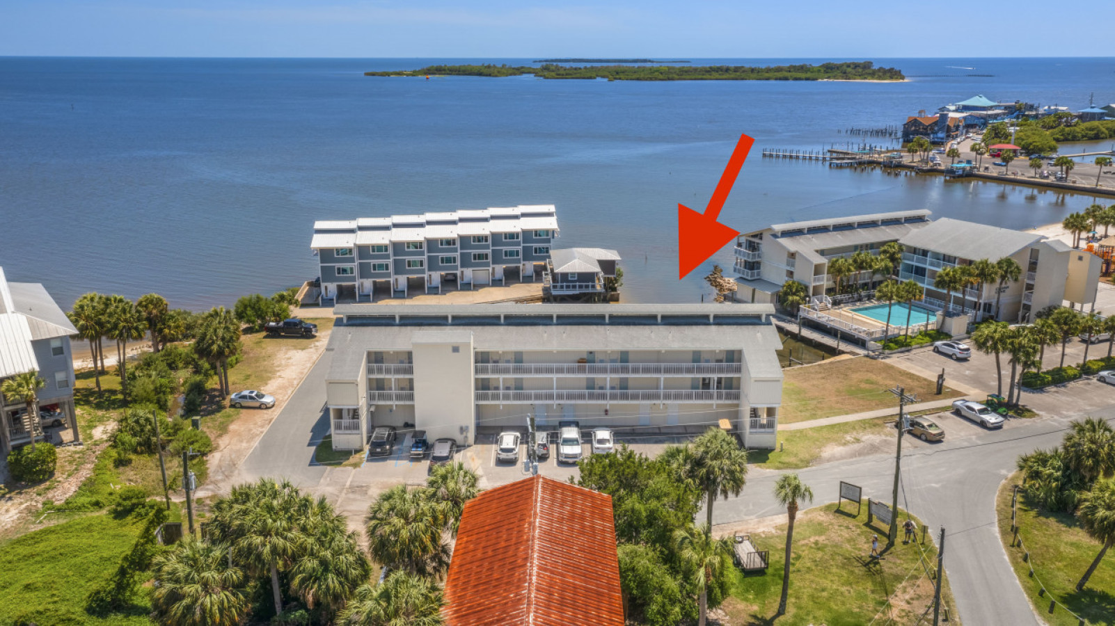 Dolphin View #217