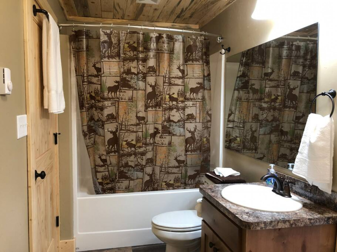 Bathroom on the main floor