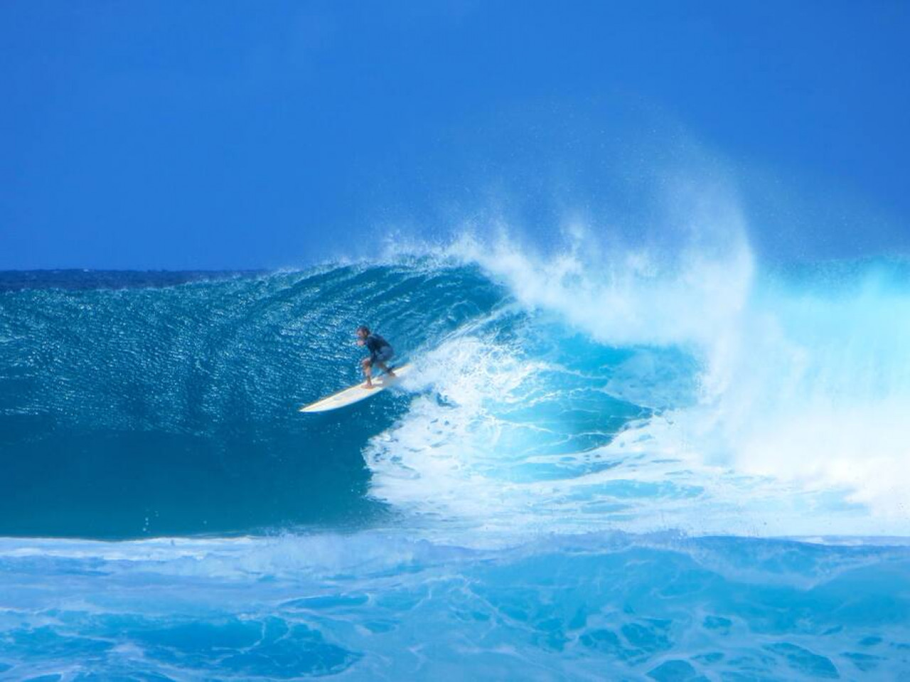 Spacious 1 Bedroom Condo at Turtle Bay photo 34
