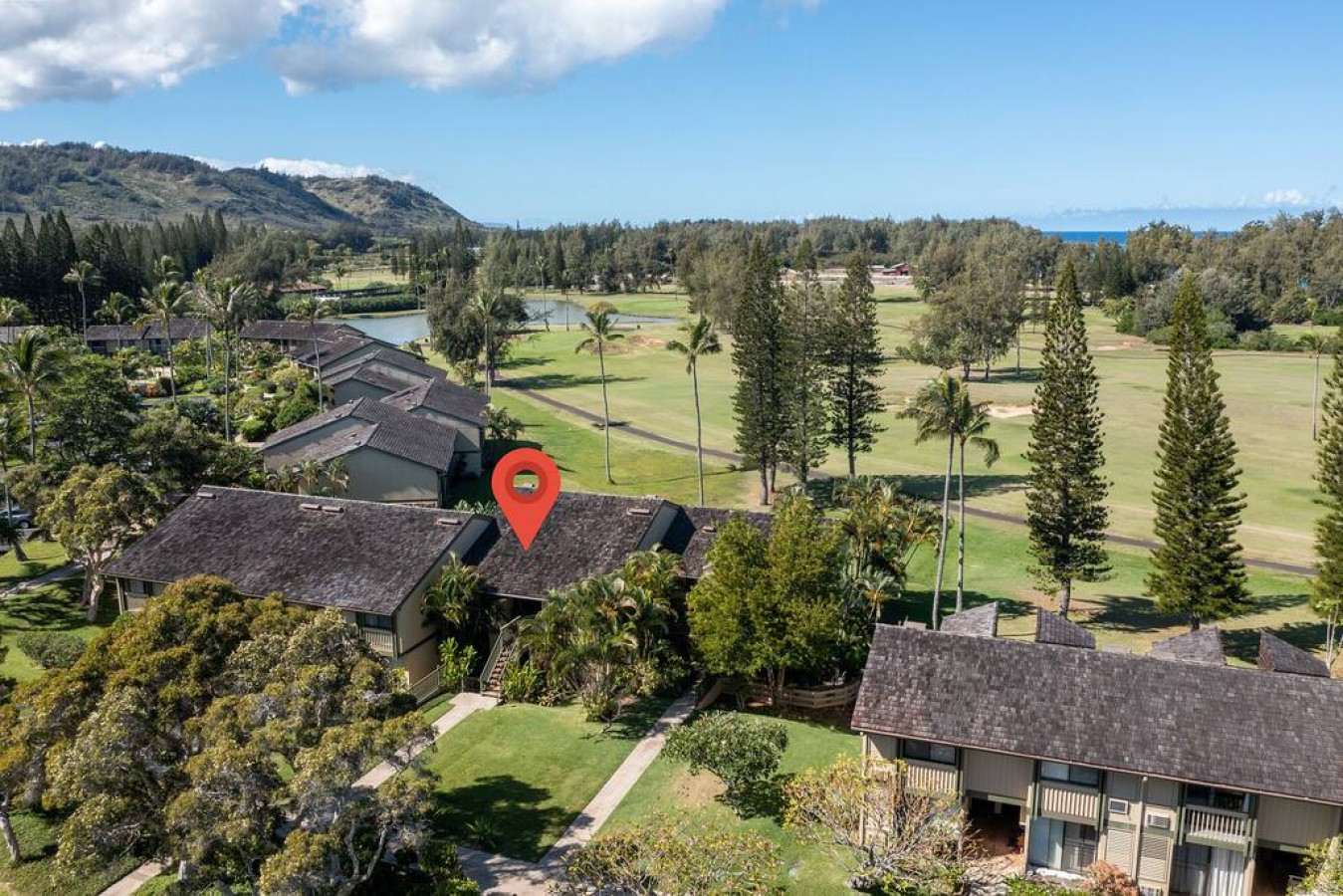 Spacious 1 Bedroom Condo at Turtle Bay photo 29