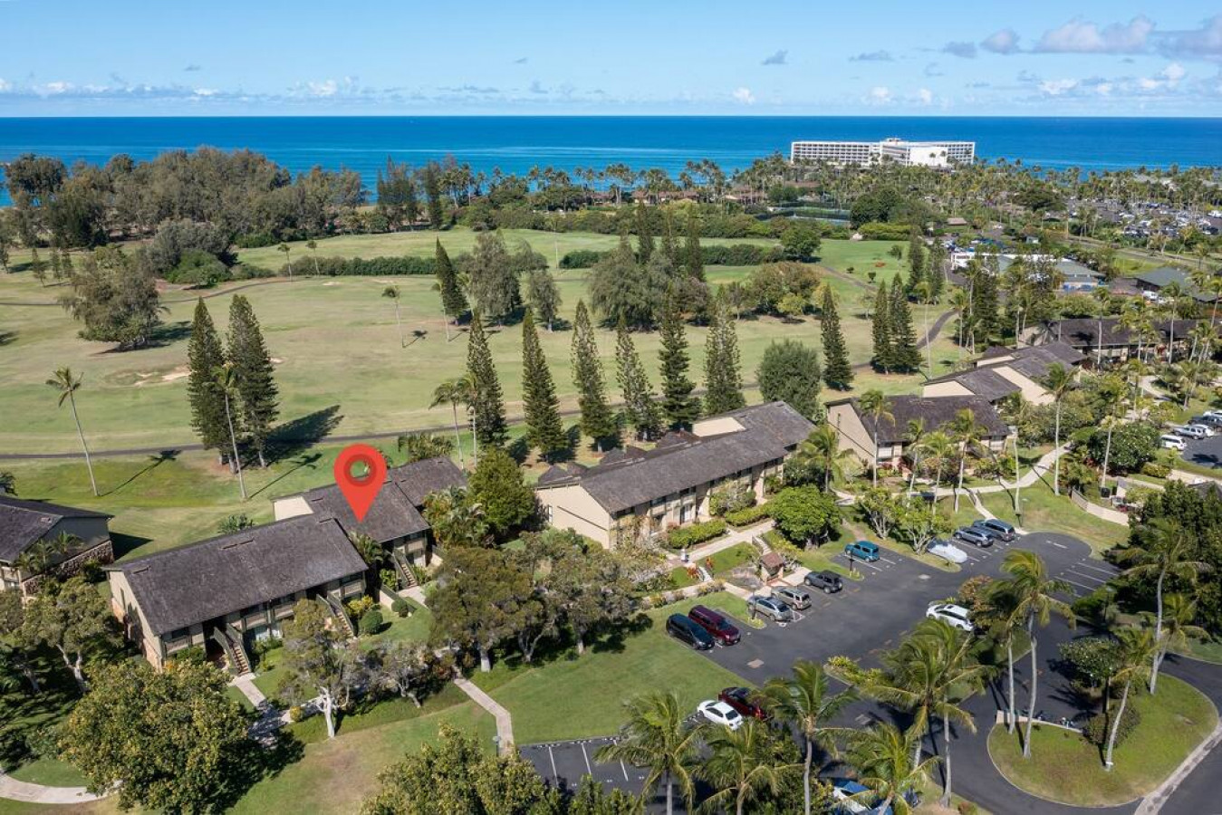 Spacious 1 Bedroom Condo at Turtle Bay photo 28