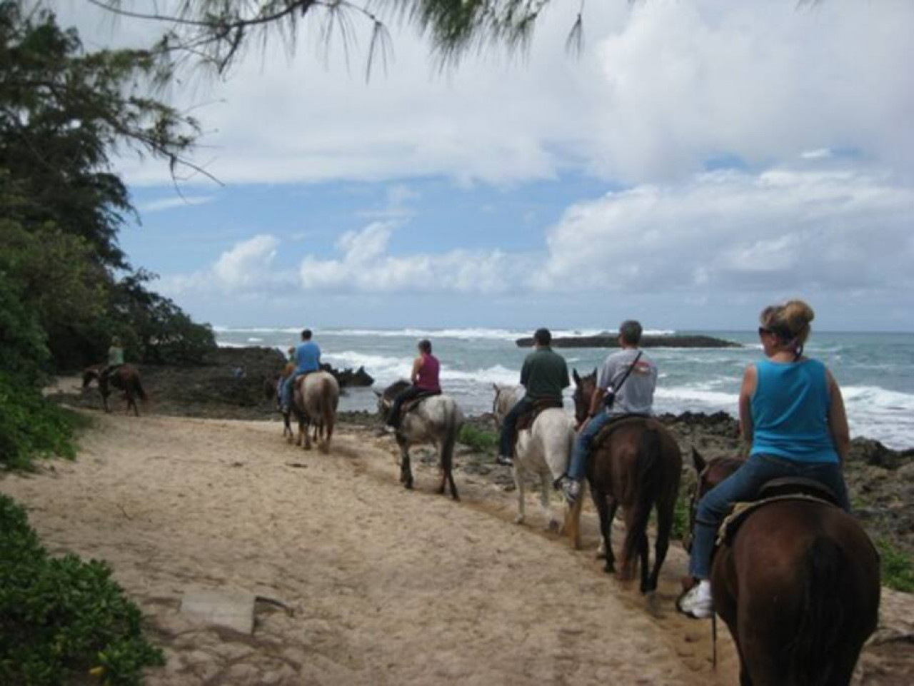 Spacious 1 Bedroom Condo at Turtle Bay photo 31