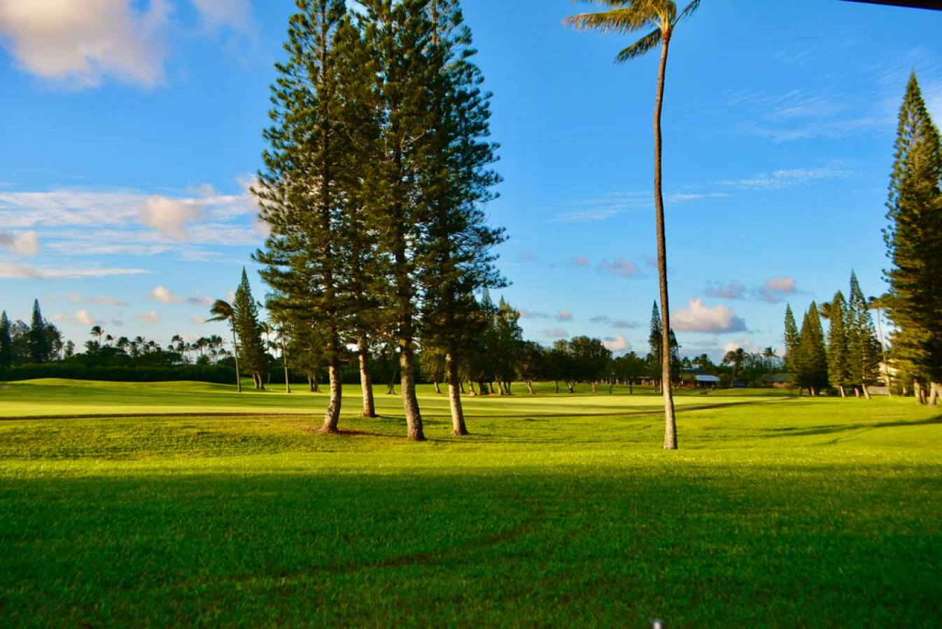 Golf Course Front Condo in Kahuku photo 23
