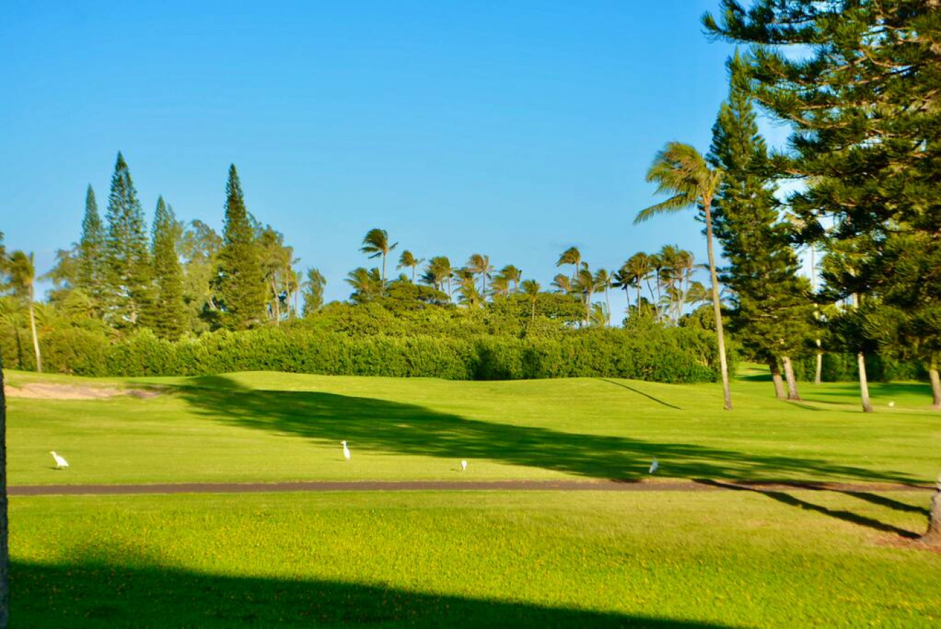 Golf Course Front Condo in Kahuku photo 22
