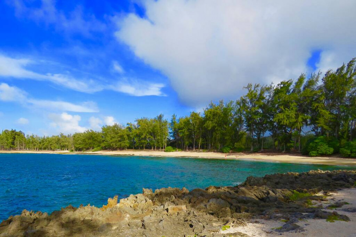 Beachfront Villa at Ritz Carlton Resort photo 24